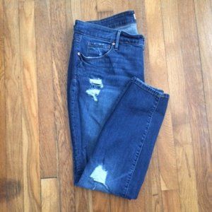LOFT Plus Modern Skinny Denim Size 18